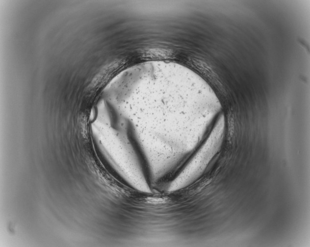 X0000102510457200808291738