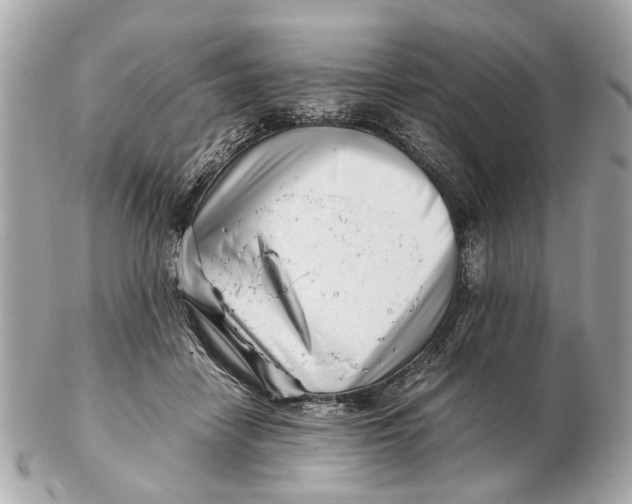 X0000102510458200808291738