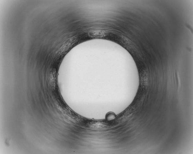 X0000102510460200808291738