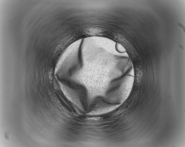 X0000102510461200808291738