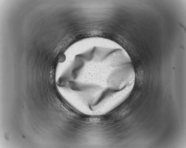 X0000102510462200808291738
