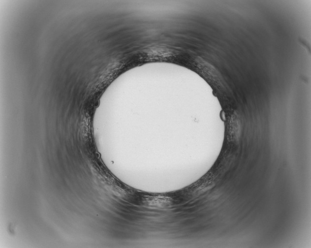 X0000102510463200808291738
