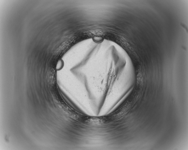 X0000102510464200808291738