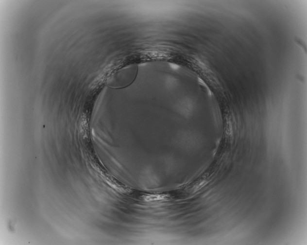 X0000102510465200808291738
