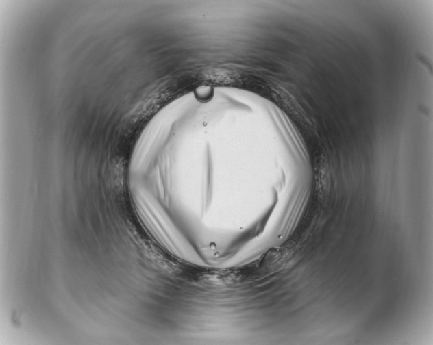 X0000102510466200808291738
