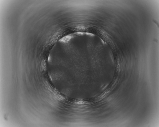 X0000102510467200808291738