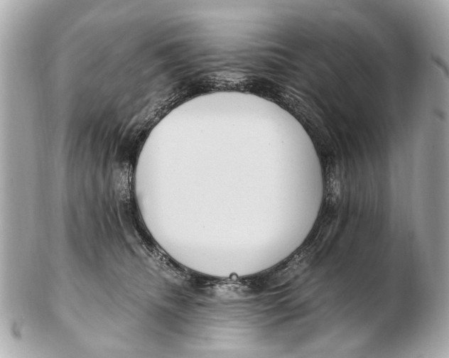 X0000102510468200808291738