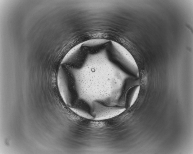 X0000102510469200808291738