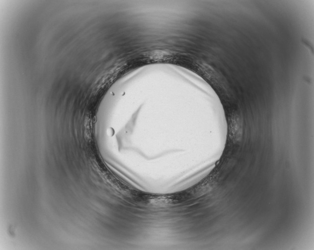X0000102510470200808291738