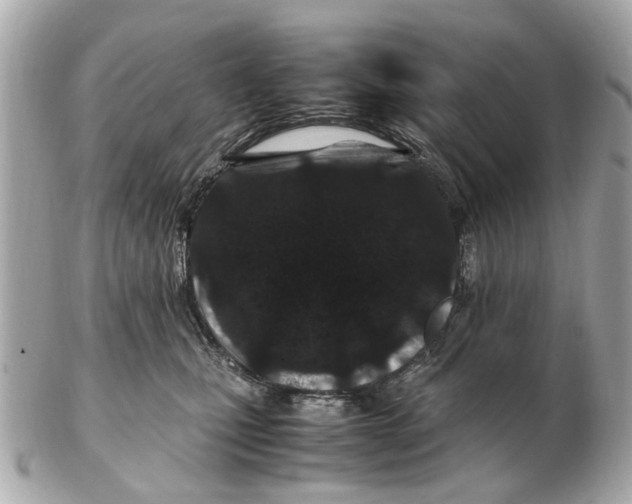 X0000102510471200808291738