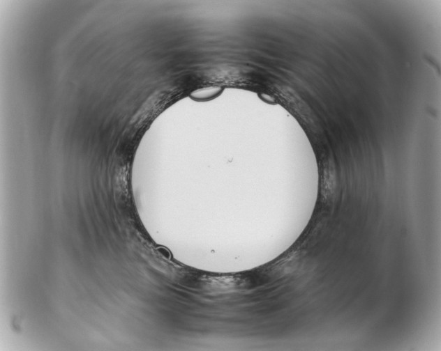 X0000102510473200808291738