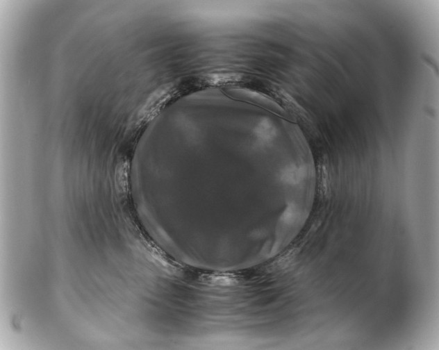 X0000102510475200808291738