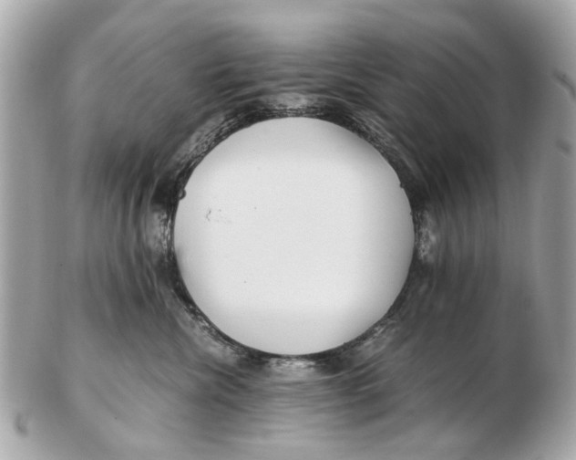 X0000102510476200808291738