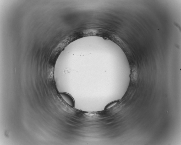 X0000102510477200808291738