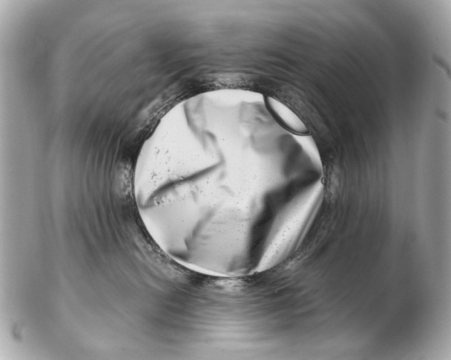 X0000102510478200808291738