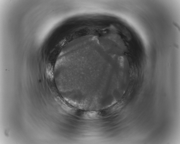 X0000102510479200808291738