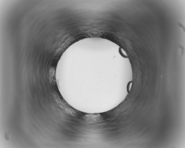 X0000102510480200808291738