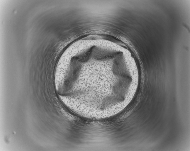 X0000102510481200808291737