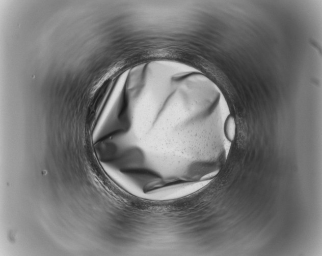 X0000102510482200808291737