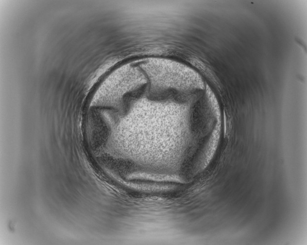 X0000102510483200808291737