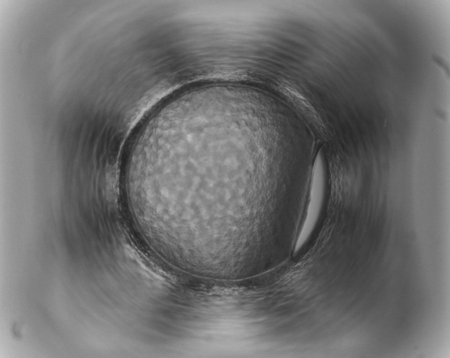 X0000102510484200808291737