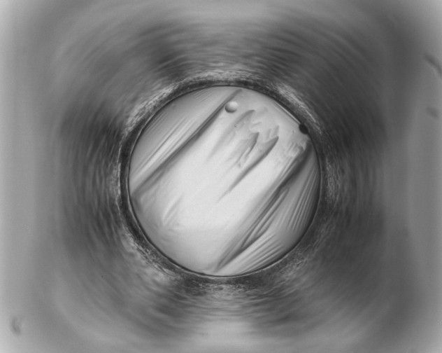 X0000102510486200808291737