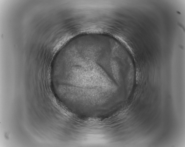 X0000102510487200808291737