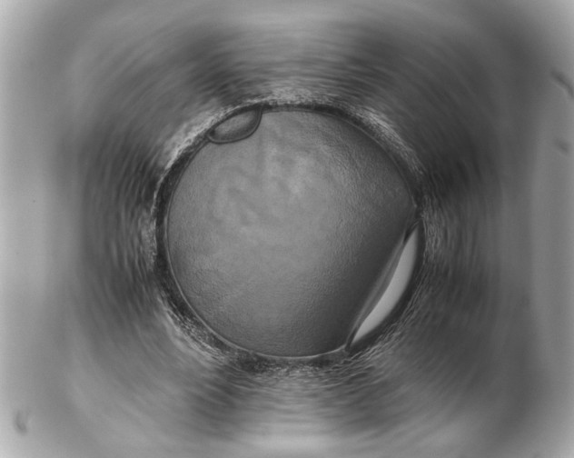 X0000102510488200808291737