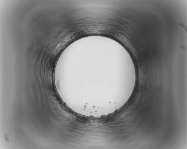 X0000102510489200808291737