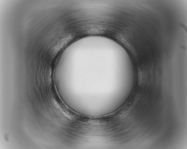 X0000102510490200808291737