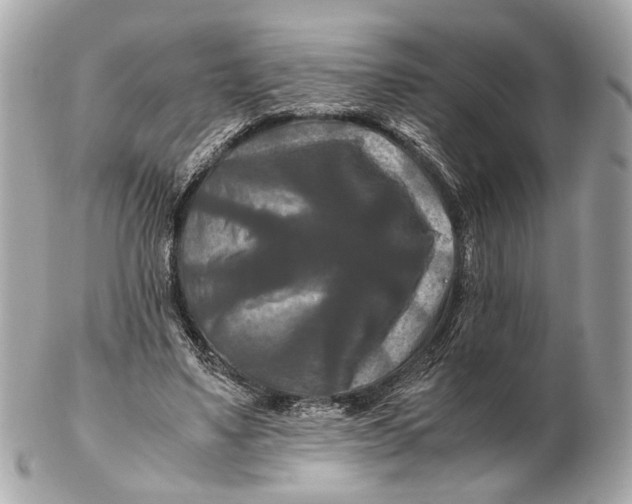 X0000102510491200808291737