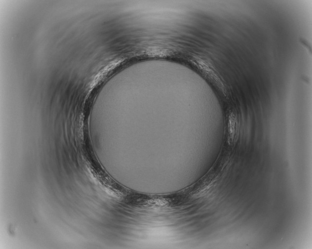 X0000102510492200808291737