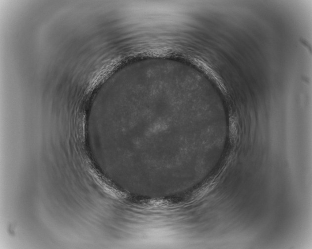 X0000102510493200808291737