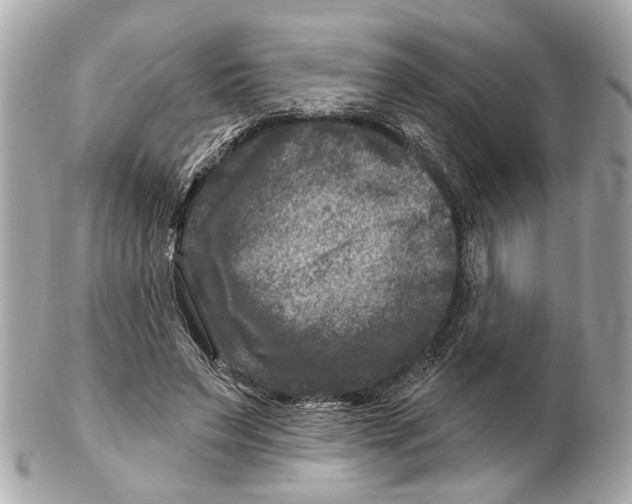 X0000102510495200808291737