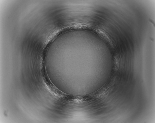 X0000102510496200808291737