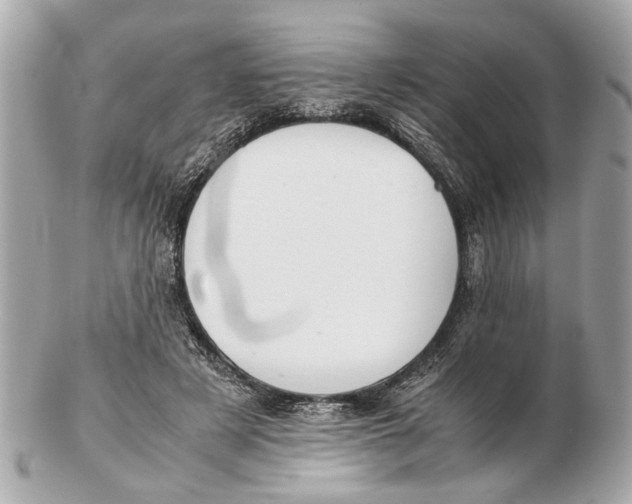 X0000102510497200808291737