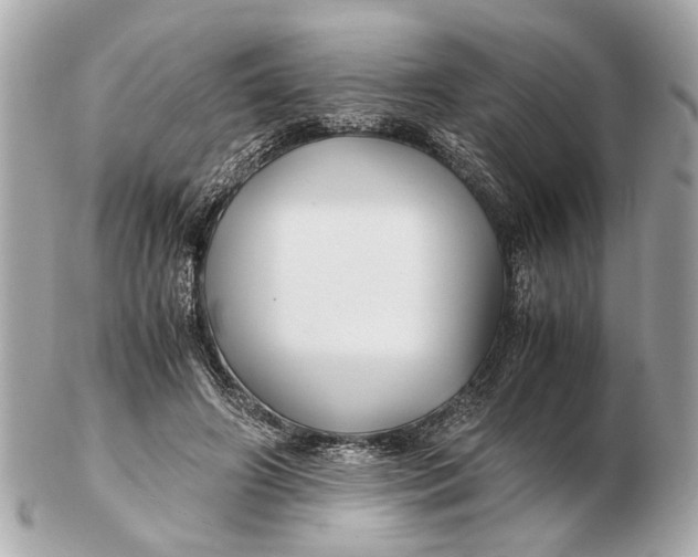 X0000102510498200808291737