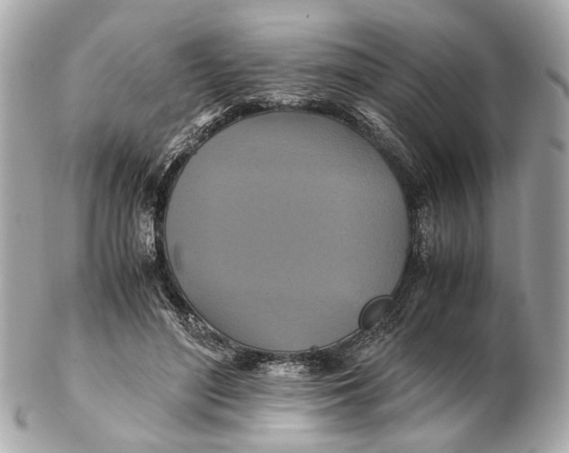 X0000102510500200808291737