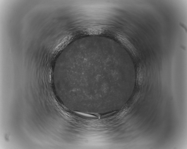 X0000102510501200808291737