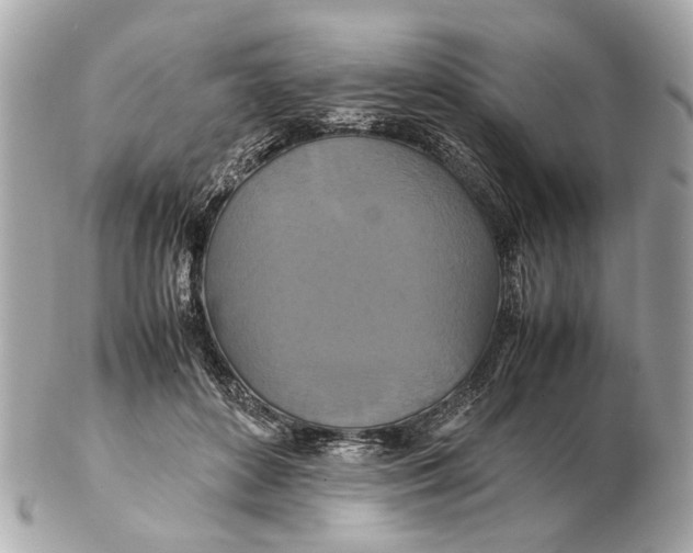 X0000102510504200808291737