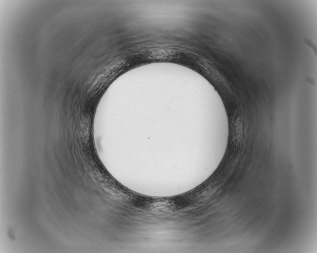 X0000102510505200808291737