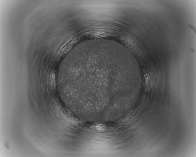 X0000102510506200808291737