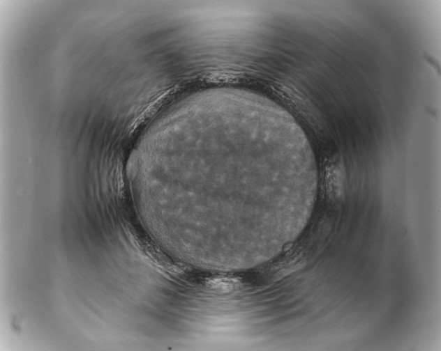 X0000102510508200808291737