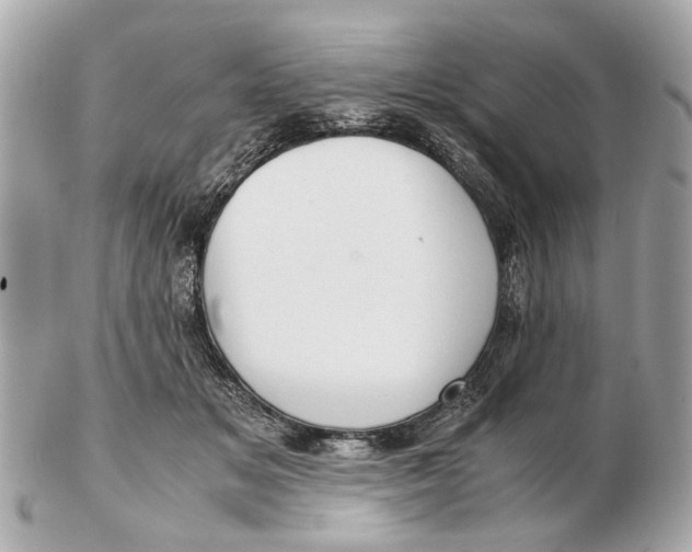 X0000102510509200808291737