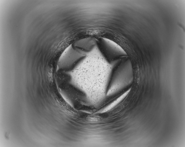 X0000102510510200808291737