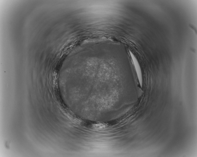 X0000102510511200808291737
