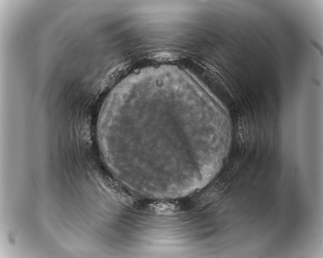 X0000102510512200808291737