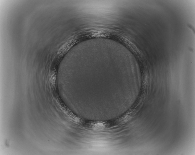 X0000102510513200808291737