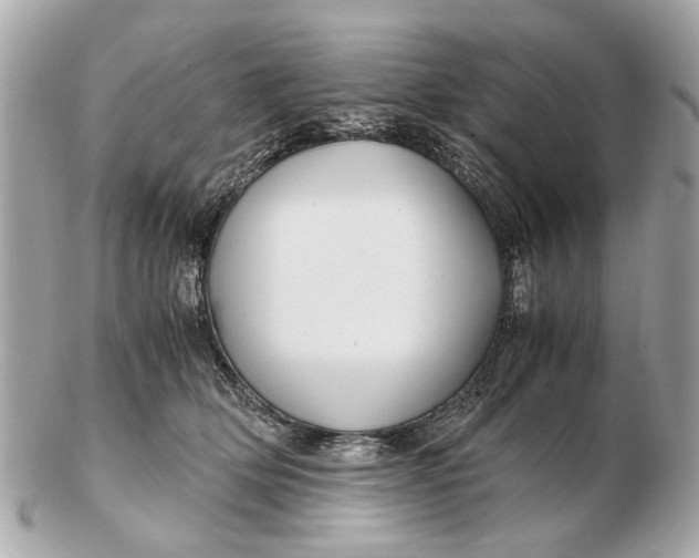 X0000102510514200808291737