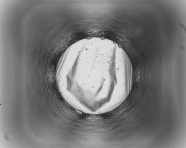 X0000102510515200808291737